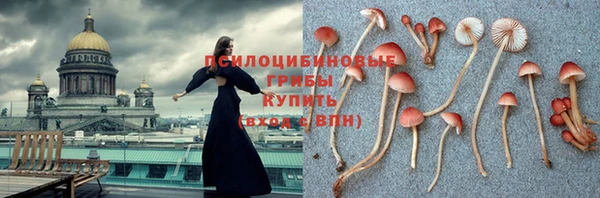 спиды Белокуриха
