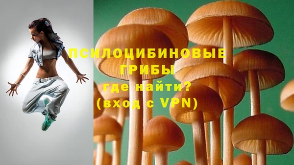 синтетический гашиш Беломорск
