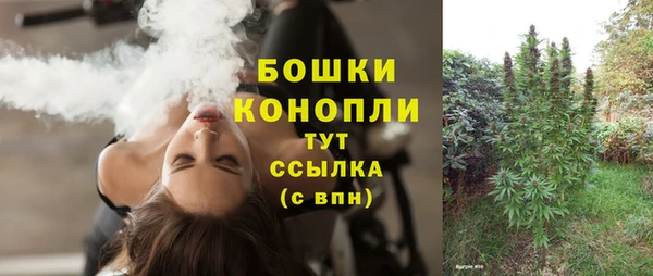 спиды Белокуриха