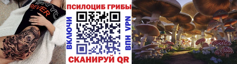 Галлюциногенные грибы Psilocybe  Пионерский 