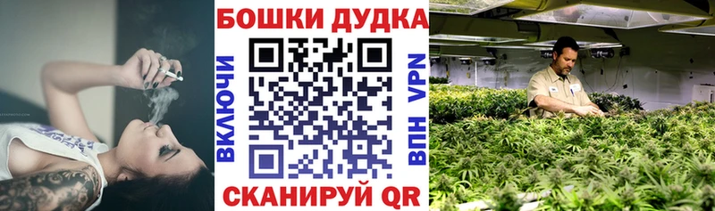 Бошки марихуана марихуана купить сайты Пионерский